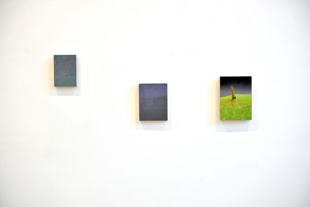 Personal Metonymies-8, Sector 1 Gallery, Ro, 2018