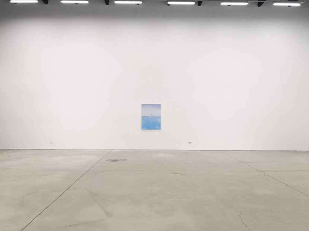 Bluebird-1, Sector 1 Gallery, Ro, 2019