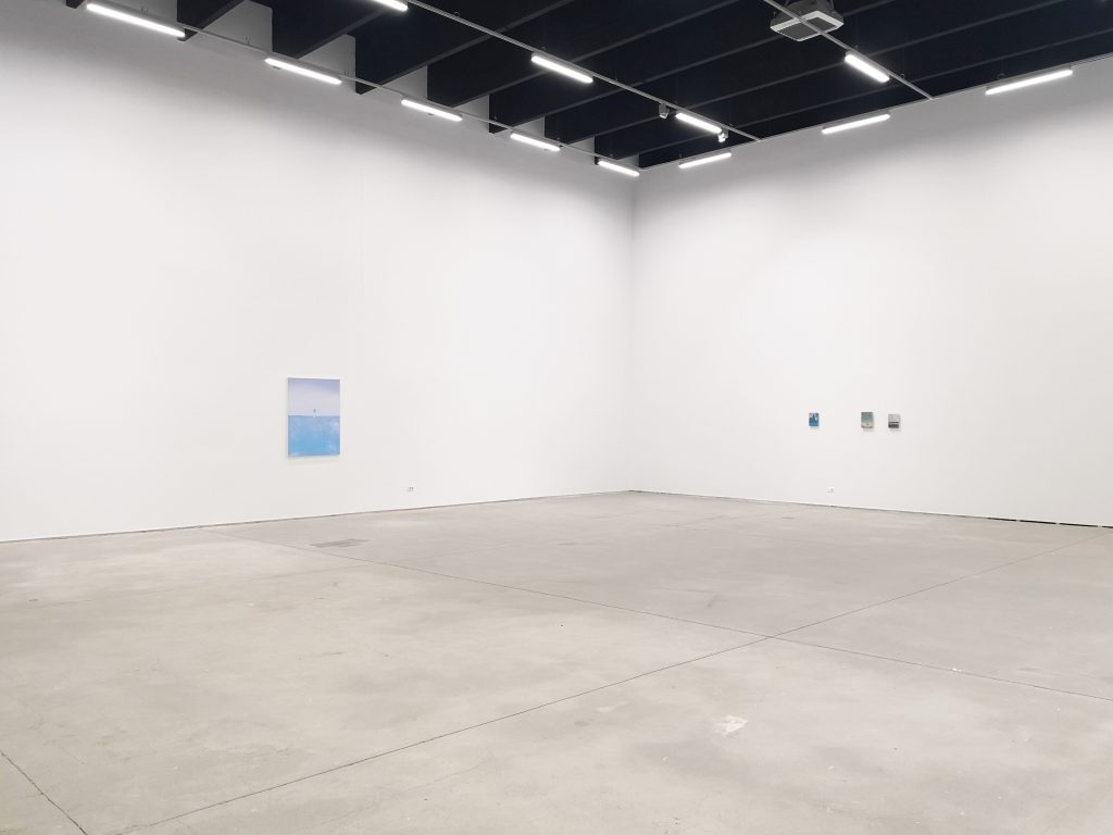 Bluebird-3, Sector 1 Gallery, Ro, 2019